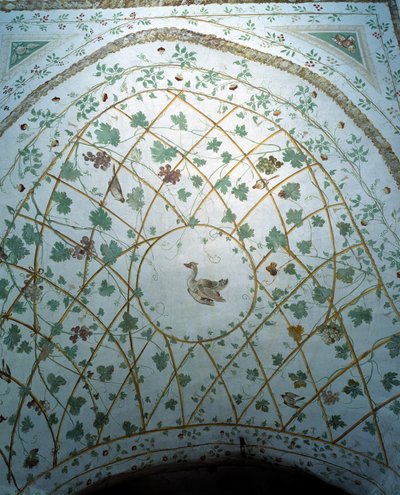 Ansicht des Gewölbes des Kellers, Villa Medicea di Careggi von Michelozzo di Bartolommeo